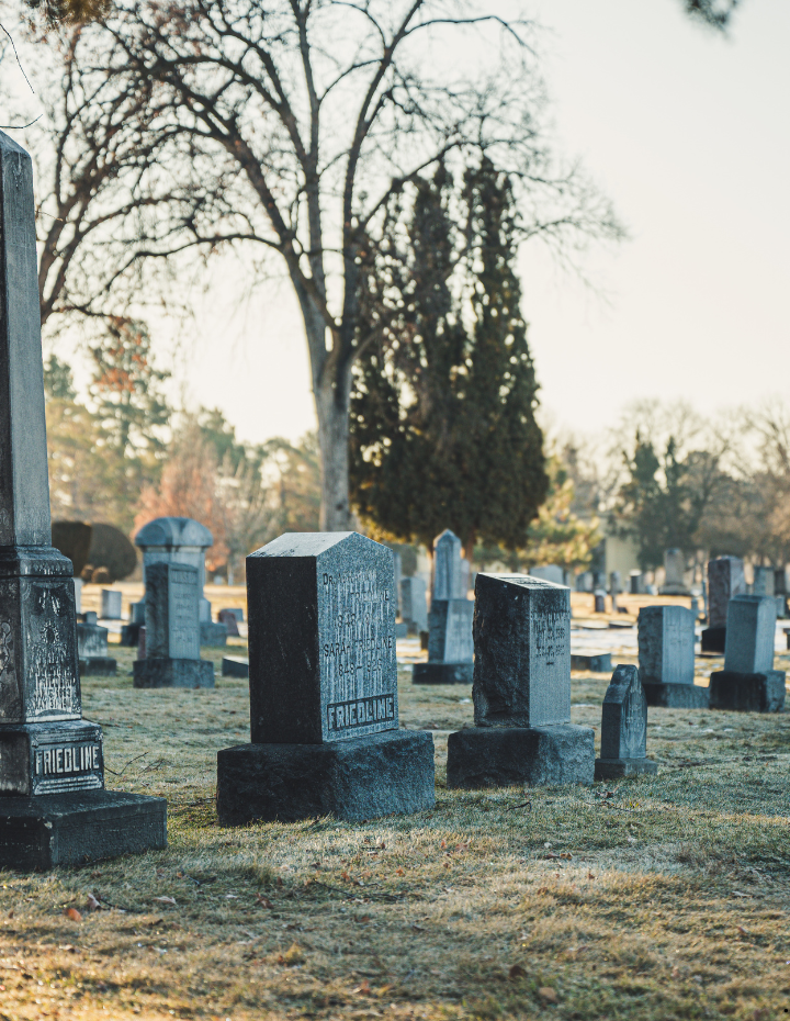 Home 777777777778900 .png