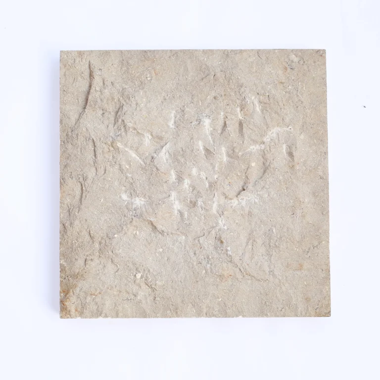 Sinai Pearl big split face 1.webp