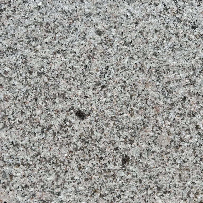 Rosa Marwa flamed 8.webp