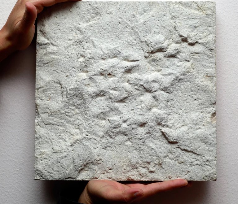 Sinai Pearl sinai pear split sand plasted.jpg